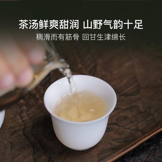 无量甜丨2022春古树生普 无量山白莺山拼配 商品图1