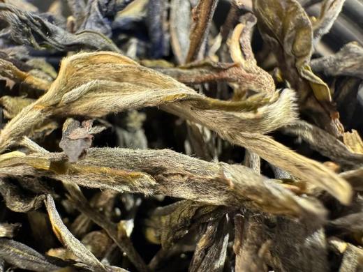 2024春 高杆橡筋 高杆单株 生普洱 品鉴装 50克 商品图4