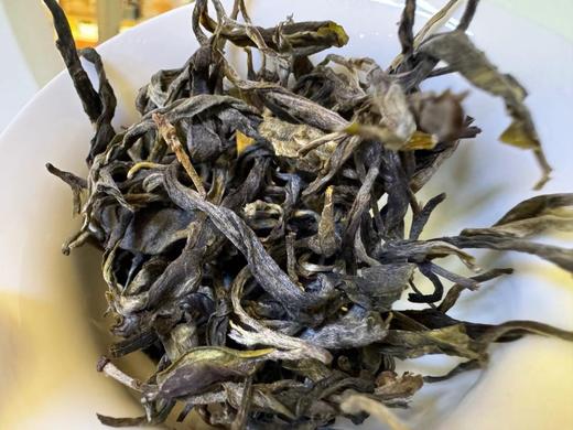 2024春 高杆橡筋 高杆单株 生普洱 品鉴装 50克 商品图6