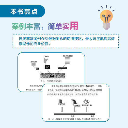 数据湖仓 大数据管理数据仓库数据湖湖仓一体建设数据湖架构数据网格计算机数据分析书籍 商品图4