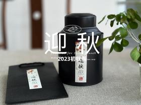 【2023秋茶】2023年的迎秋，是款好品相高等级的好茶。阔别2年，它又回来了！
