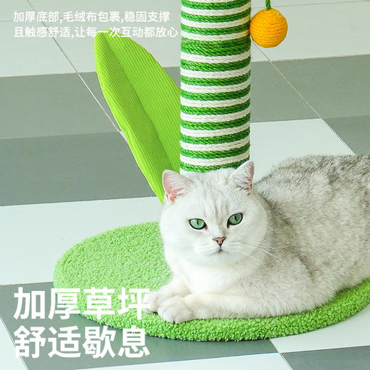 zeze害羞羞郁金香抓柱（大号）-B （包邮） 商品图3