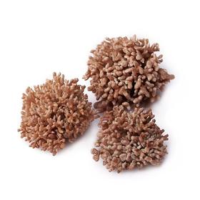 龙爪菇（约150克）