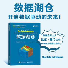 数据湖仓 大数据管理数据仓库数据湖湖仓一体建设数据湖架构数据网格计算机数据分析书籍