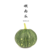 嫩南瓜 商品缩略图0