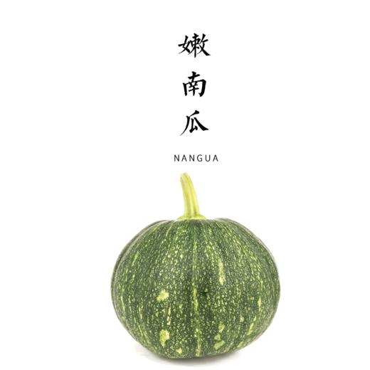 嫩南瓜 商品图0
