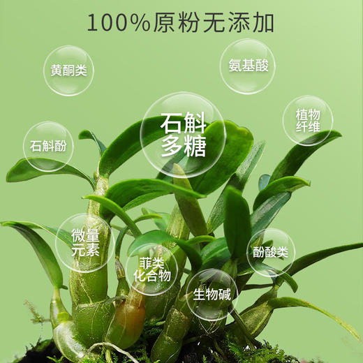 霍山石斛粉 商品图1