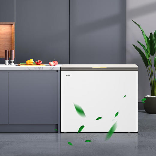 海尔200升低霜玻璃面板小冰柜家用商用冷藏柜冷冻柜冰柜小型租房小冰箱冷柜BC/BD-200GHPGX以旧换新 商品图6