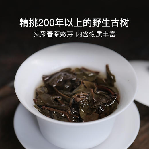 无量甜丨2022春古树生普 无量山白莺山拼配 商品图3