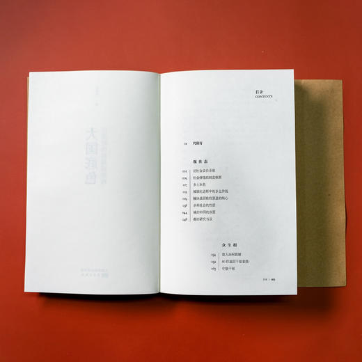 《大国底色：巨变时代的基层治理》 商品图3