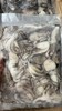 獐子岛原浆小八爪500g/袋，捕捞上以后直接加工，纯原浆不缩水，口感鲜嫩，东三省包邮 商品缩略图1