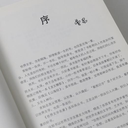 《世界文学名著连环画》下单72小时发货 商品图3