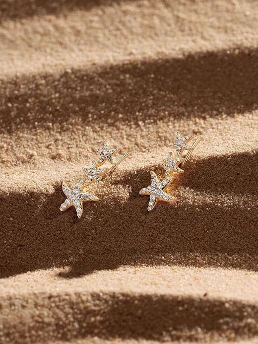 AP*海星弧形耳环 商品图0