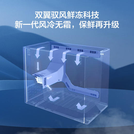 海尔（Haier）201升 风冷无霜 冰柜家用商用一级能效省电保鲜全冷冻卧式冷柜-38°深冷BC/BD-201WGHED以旧换新 商品图5