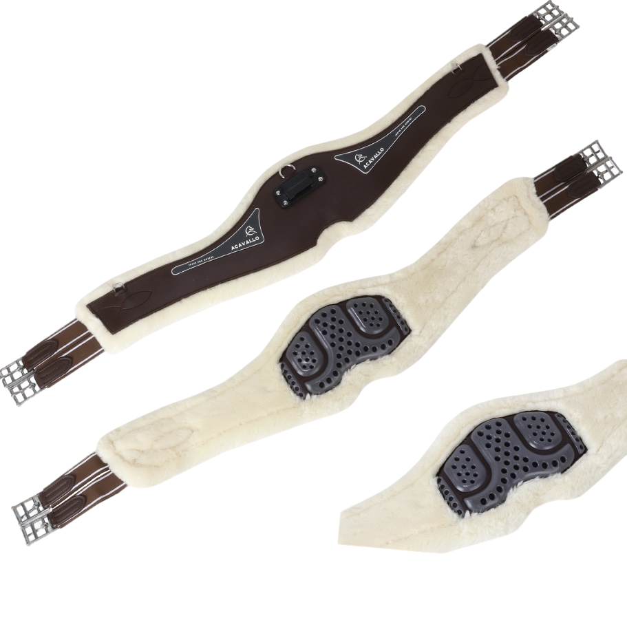 专业马术英式进口障碍纯皮羊毛硅胶牛皮肚带 马术肚带 马匹用品AC565/9425-QS