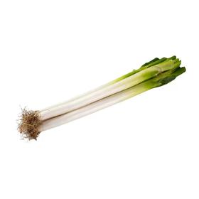 大葱 （约500克）