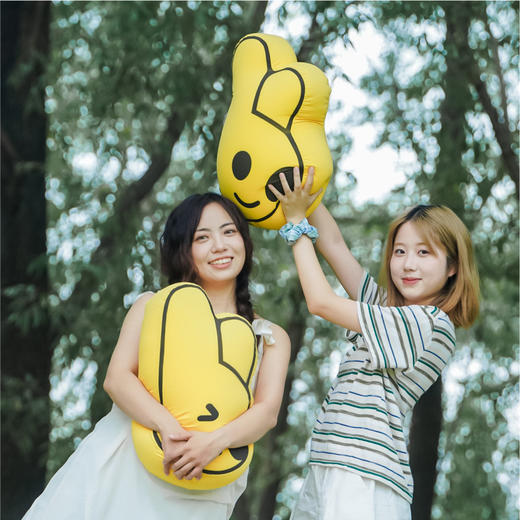 团团清凉袋鼠表情抱枕 商品图0