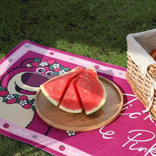 【推荐】麦斯卡×迪士尼草莓熊露营系列装备户外露营天幕 商品图4