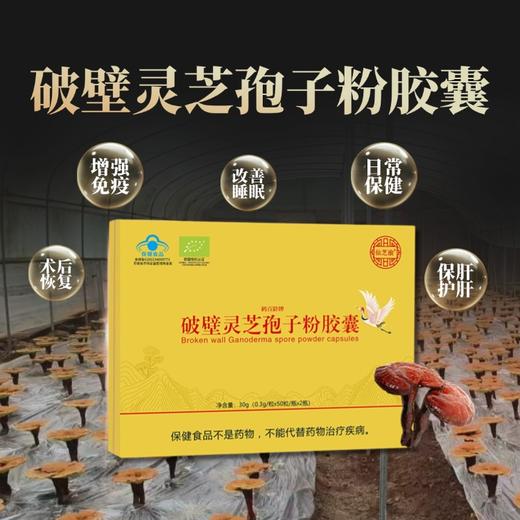 仙芝渝破壁灵芝孢子粉胶囊 商品图1