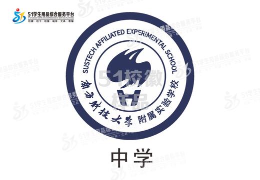 通版深圳市南方科技大学附属实验学校包边小学初中圆形盾牌缝烫51 商品图3