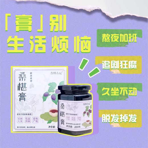 【2025年10月生产】桑葚膏 商品图1