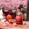 0593【国企严选，山海食材】樱花酿500ml/瓶官源里正品 商品缩略图0