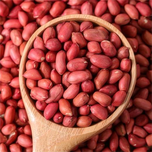 德伟有机花生米 东北黑土地红皮花生一级罐装800g 商品图2