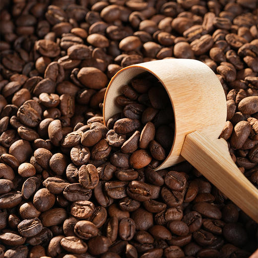 苦之道 金咖叁号 云南精品咖啡焙炒豆 蜜处理中烘咖啡豆 商品图1