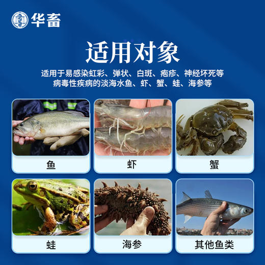 华畜 虹彩1号 草本萃取 免疫力强 阻击病毒 商品图3