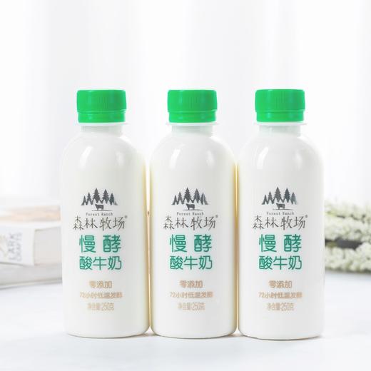 【乍甸•慢酵酸牛奶】2月13日-2月23日停发 全国包邮 72小时慢酵酸牛奶 森林牧场酸牛奶 源自红河老国营农场 黄金奶源带 甄选好牛 自然好奶 250g*6瓶装 商品图0