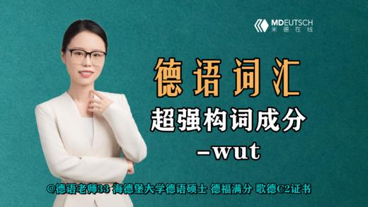 德语超强构词成分 -wut 商品图0