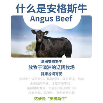 膳之牛澳洲黑安格斯谷饲原切西冷牛排200g(1片装)原切谷饲牛肉源头直发 商品图0