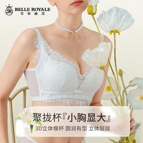 【秒杀品不退不换】皇家丽美内衣女聚拢文胸收副乳调防下垂中厚款无钢圈文胸WW206-1/WW206-3