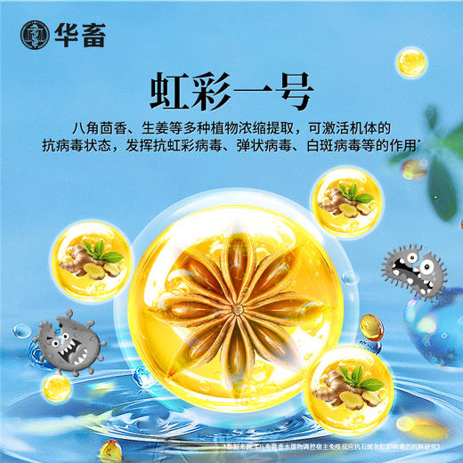 华畜 虹彩1号 草本萃取 免疫力强 阻击病毒 商品图2
