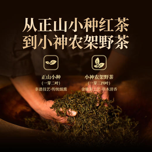 正山堂 传统正山小种红茶小神农架野茶特级组合装 罐装60g/100g/200g 商品图5