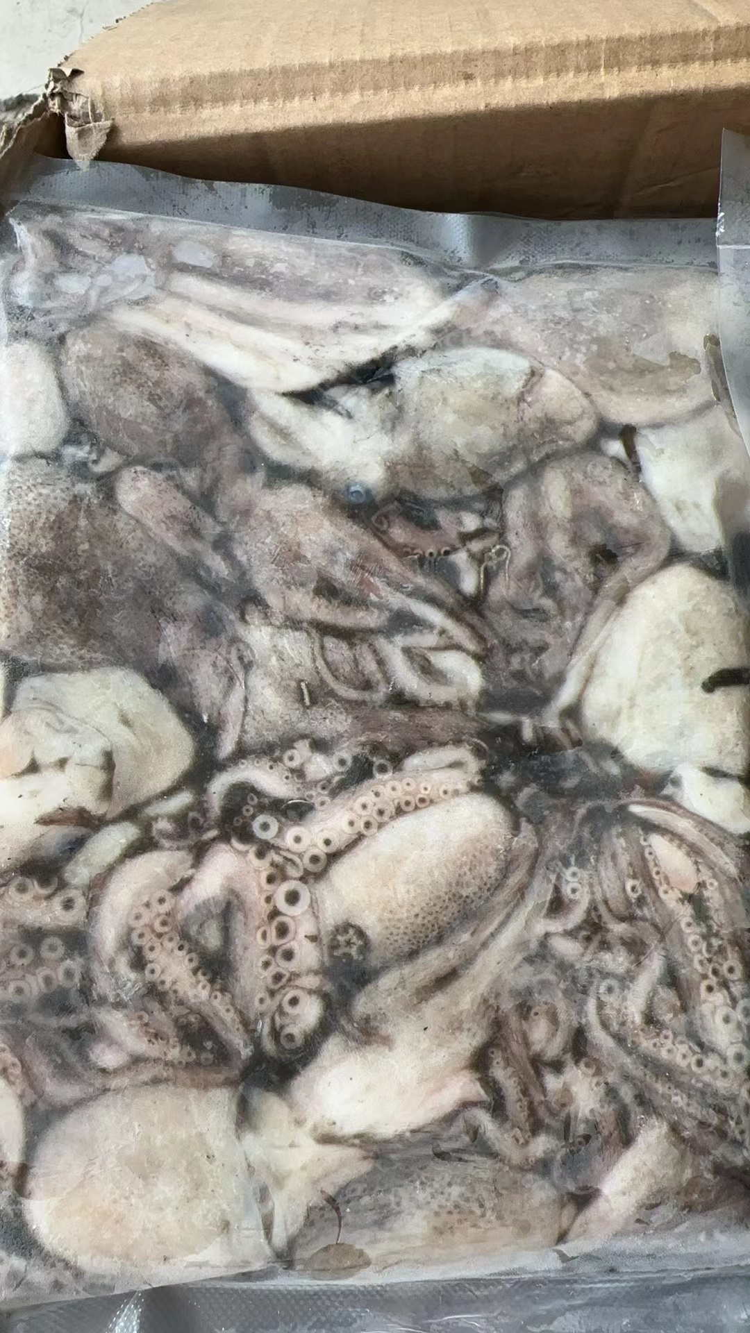 獐子岛原浆小八爪500g/袋，捕捞上以后直接加工，纯原浆不缩水，口感鲜嫩，东三省包邮