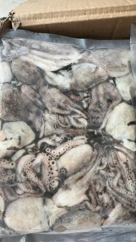 獐子岛原浆小八爪500g/袋，捕捞上以后直接加工，纯原浆不缩水，口感鲜嫩，东三省包邮