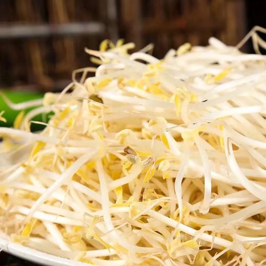 绿豆芽（约500g） 商品图1