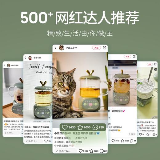 【小家电】小南瓜（Little Pumpkin） 电炖杯电热水杯迷你养生壶养生杯大容量花茶煮茶器热牛奶神器一人煮粥 萌潮养生杯 HF 商品图5