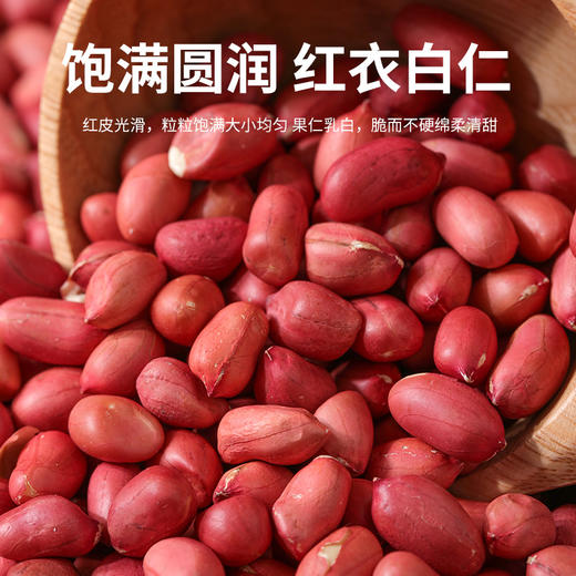 德伟有机花生米 东北黑土地红皮花生一级罐装800g 商品图1