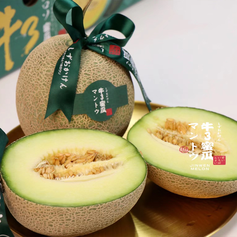 牛3蜜瓜（海南三亚种植））