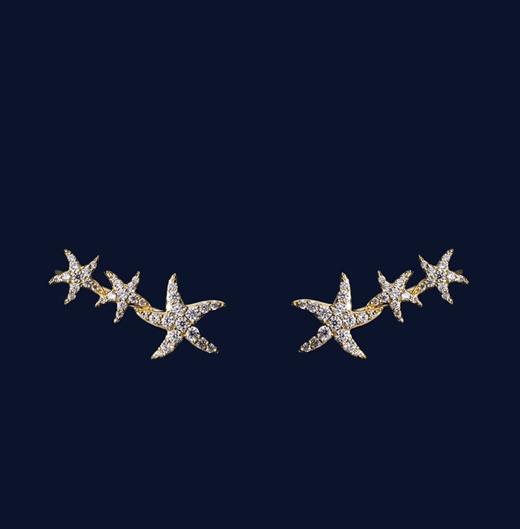 AP*海星弧形耳环 商品图4
