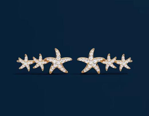 AP*海星弧形耳环 商品图3