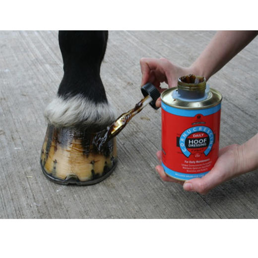 日常马蹄油香波清洁套餐马蹄马匹养护保健保养油CDM 商品图1
