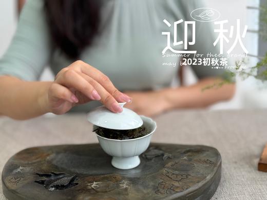 2023年的迎秋，是款好品相高等级的好茶。阔别2年，它又回来了！ 商品图7