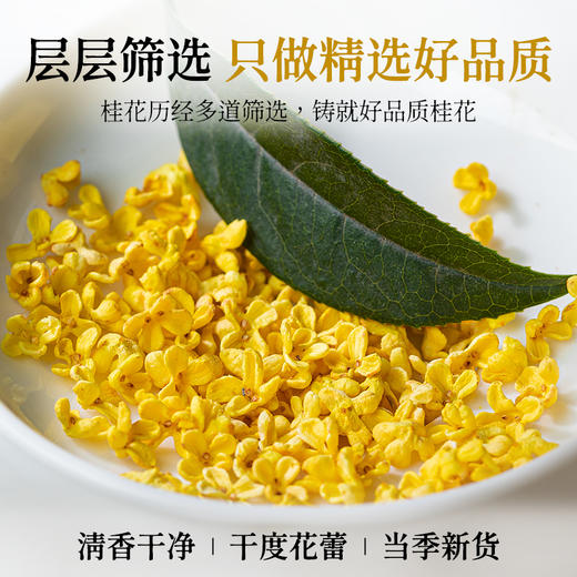 桂花干花新鲜金桂花茶食用烘焙干桂花茶泡水可配玫瑰花茶 商品图2