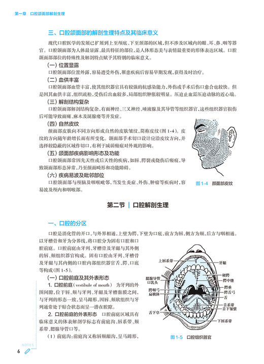 口腔科学第10版第十版 本科临床配增值新版蓝色生死恋供基础临床预防口腔医学类专业用 郭传瑸 程斌 人民卫生出版社 9787117362375 商品图4