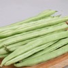 四季豆（约500g） 商品缩略图1