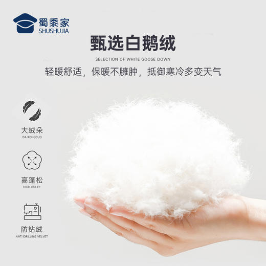 【实付满399送保温杯】【三合一鹅绒服夹克】可拆卸内胆羽绒外套防风保暖休闲棉服YZ401 商品图3