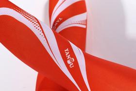 严素冰丝臂套,火箭, 冰丝袖套,速干,排汗,透气,防晒,温度调节